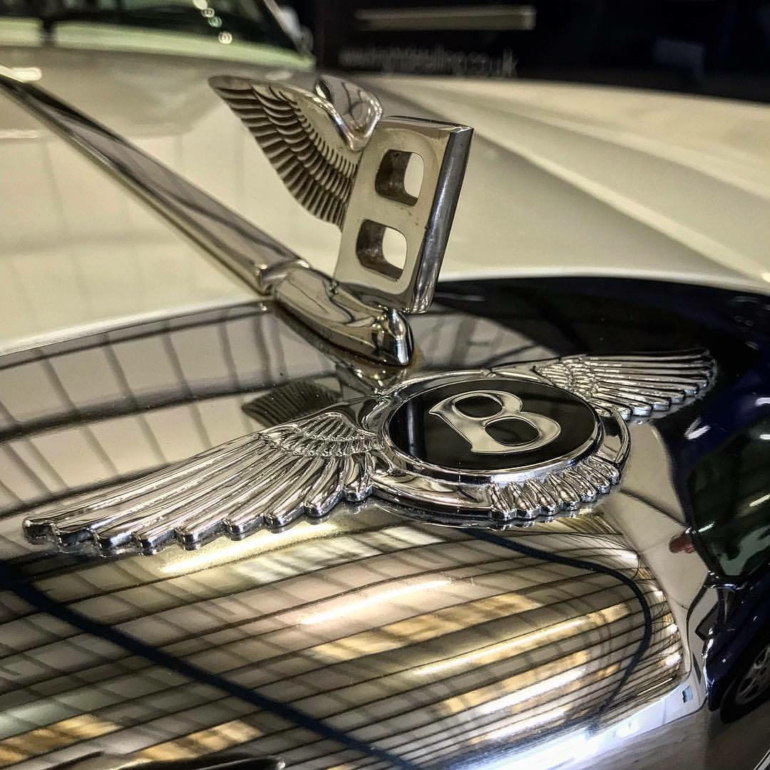 Polished paintwork reflection